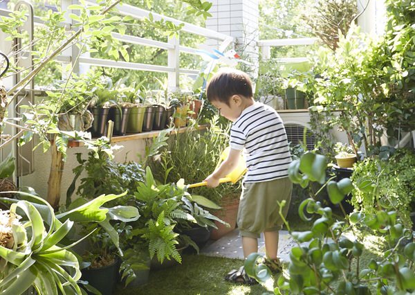 庭土の入れ替えは自分でできる 自力でやる 業者に頼むを徹底検証